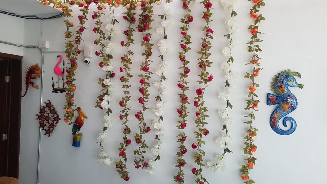Posada Bugambilia Mazatlán Εξωτερικό φωτογραφία